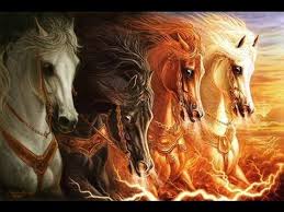 horses